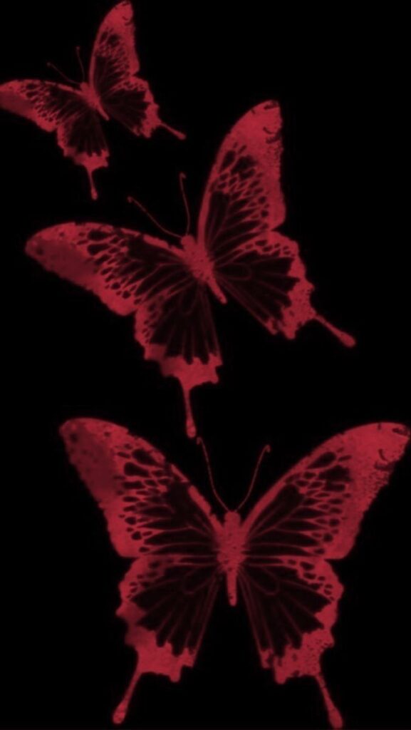 borboletas vermelhas com preto fundo de tela para celular