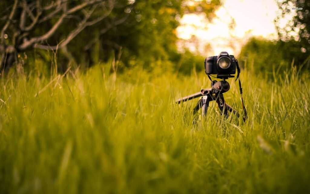 papel de parede para pc em uma paisagem com uma camera fotografica como foco