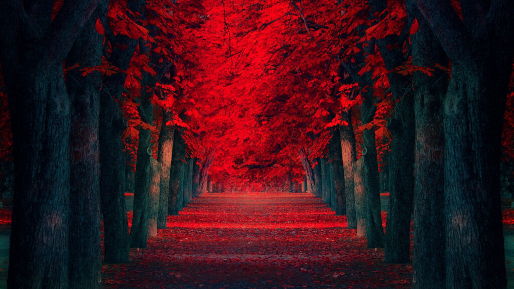 floresta vermelha e preta nesse wallpaper para pc