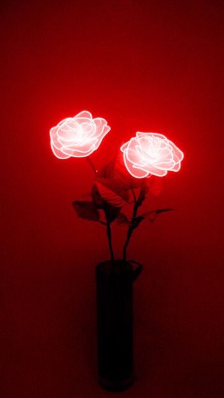 duas flores nesse wallpaper vermelho para celular