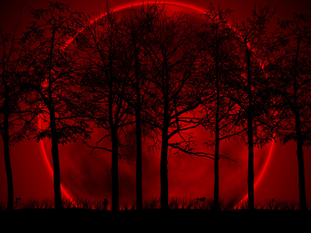 floresta preta com enorme lua vermelha nesse wallpaper para pc
