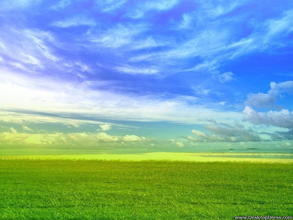 céu azul claro sobre um campo verde, criando um cenário sereno nesse wallpaper para pc