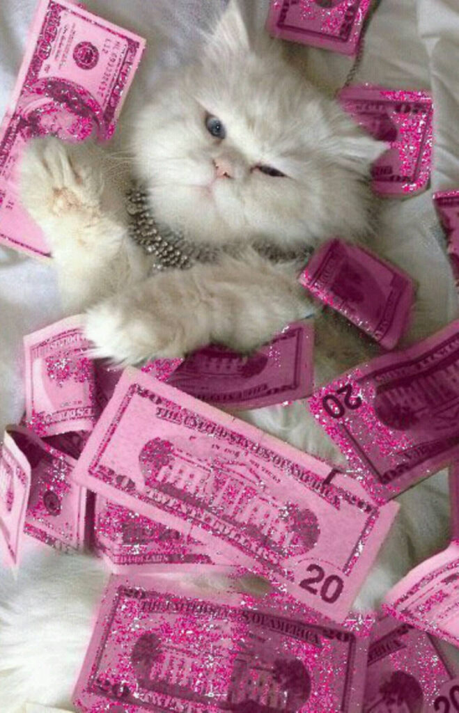 wallpaper 4k de dinheiro em filtro rosa e um gato