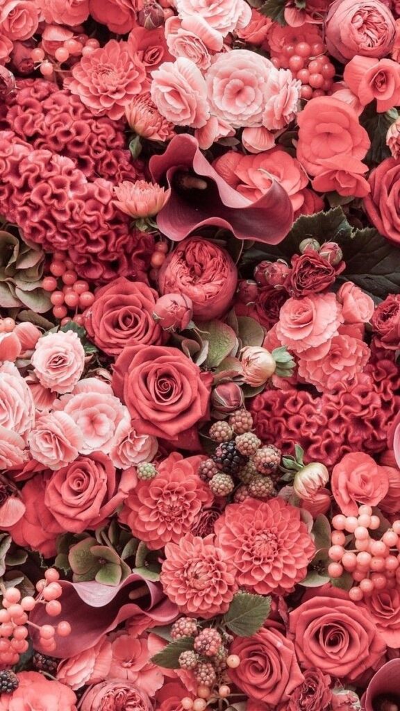 wallpaper de celular com rosas em variadas tonalidades de uma mesma cor