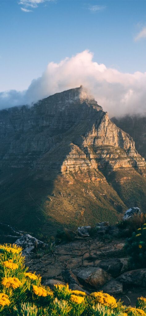 desfrute da beleza da natureza das montanhas com esse wallpaper para celular 