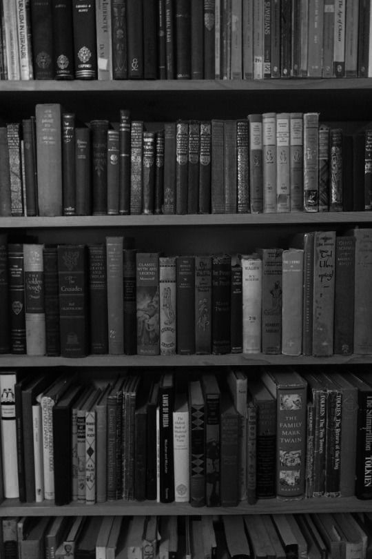wallpaper para celular em preto e branco de estante de livros 
