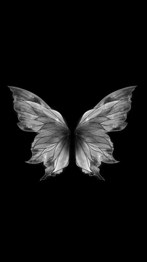 papel de parede preto e branco com linda borboleta para celular