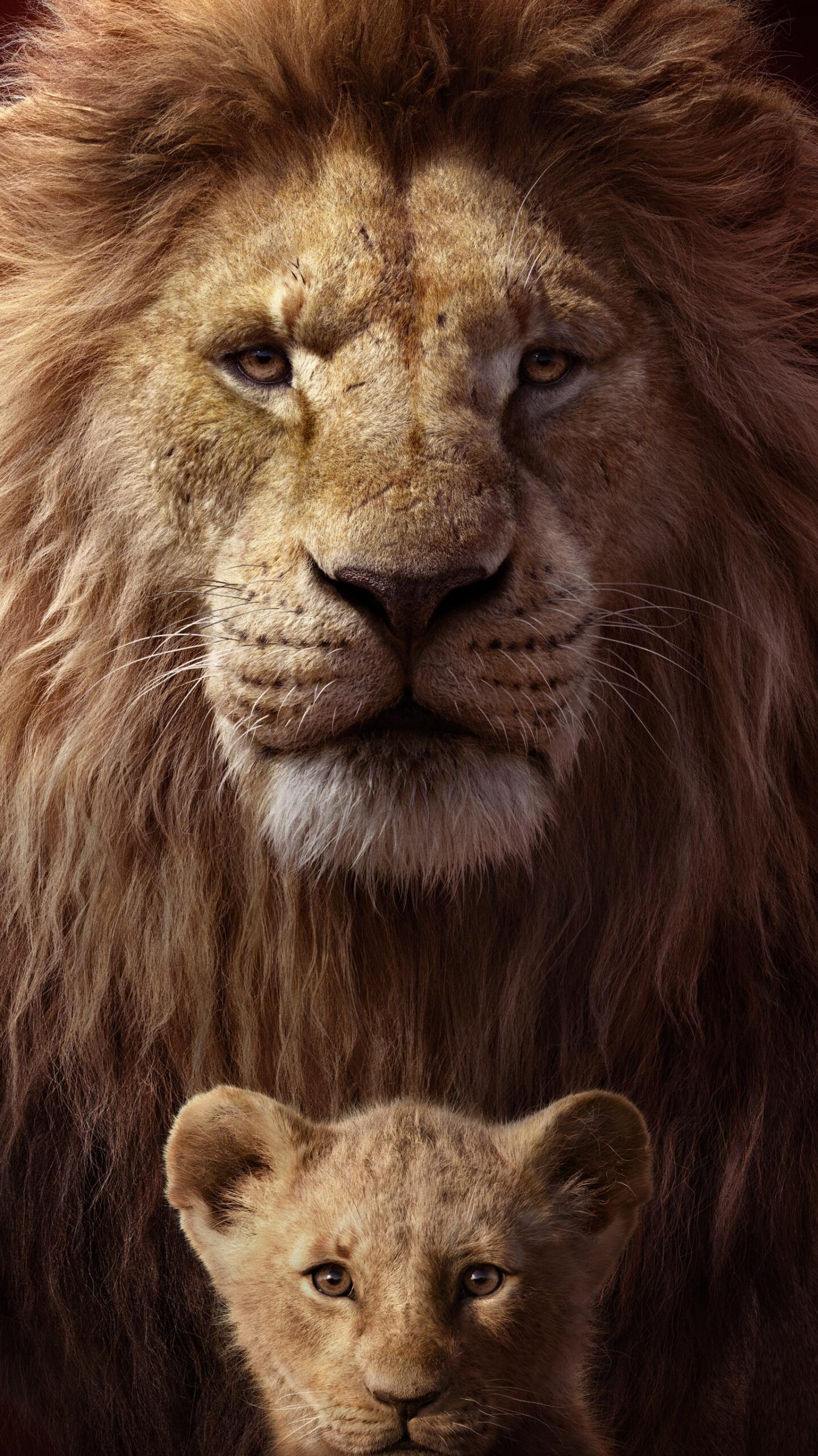 wallpaper para celular rei leão Simba e Mufasa