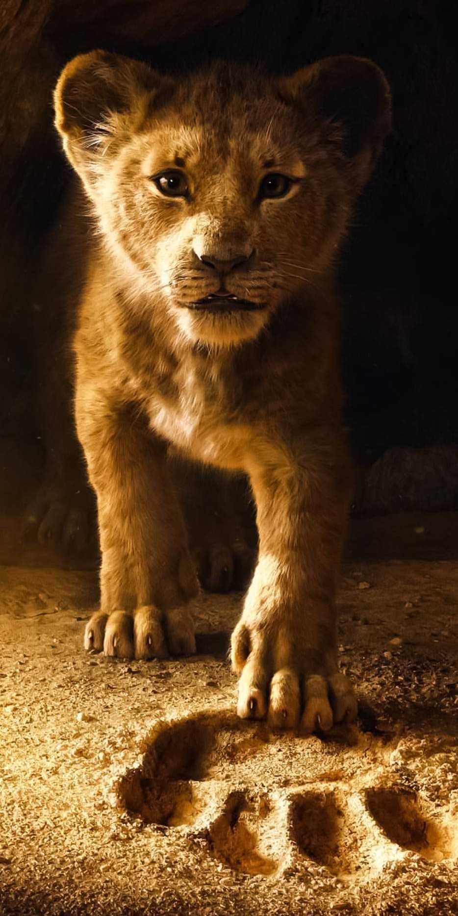 papel de parede para celular de simba em frende a pata de seu pai em o rei leão