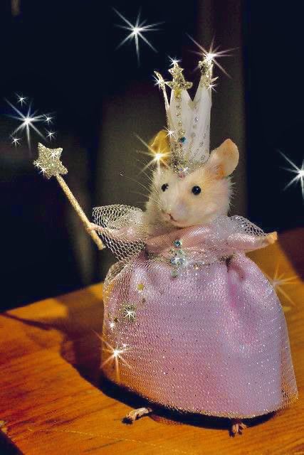 papel de parede para celular de rato com vestido de princesa