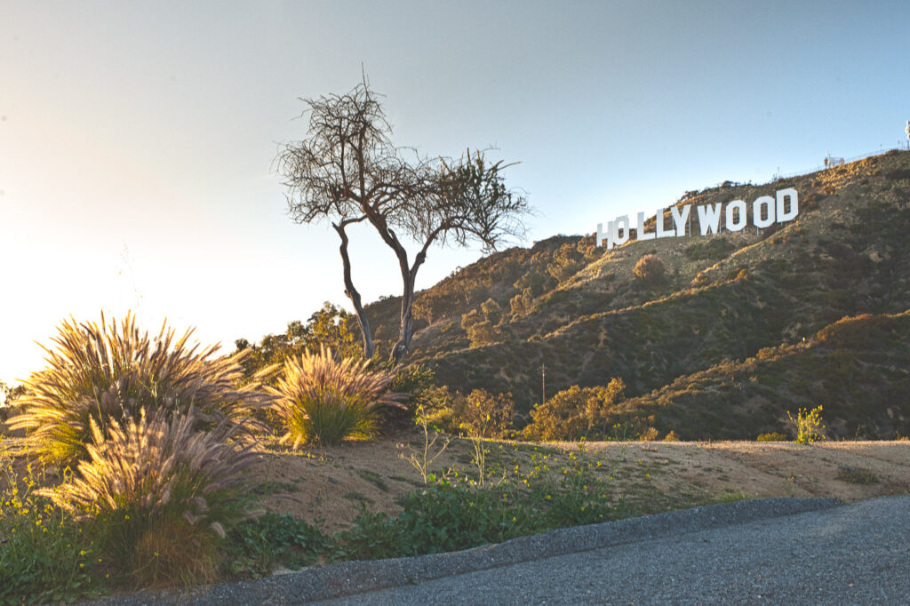 california e seu lindo letreiro de hollywood para wallpaper de pc