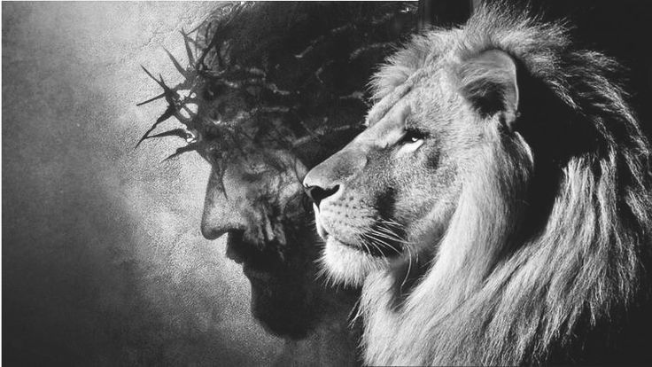 imagem de fundo de tela para pc de jesus o leão