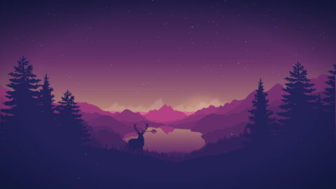 Wallpaper com nuances de púrpura para desktop